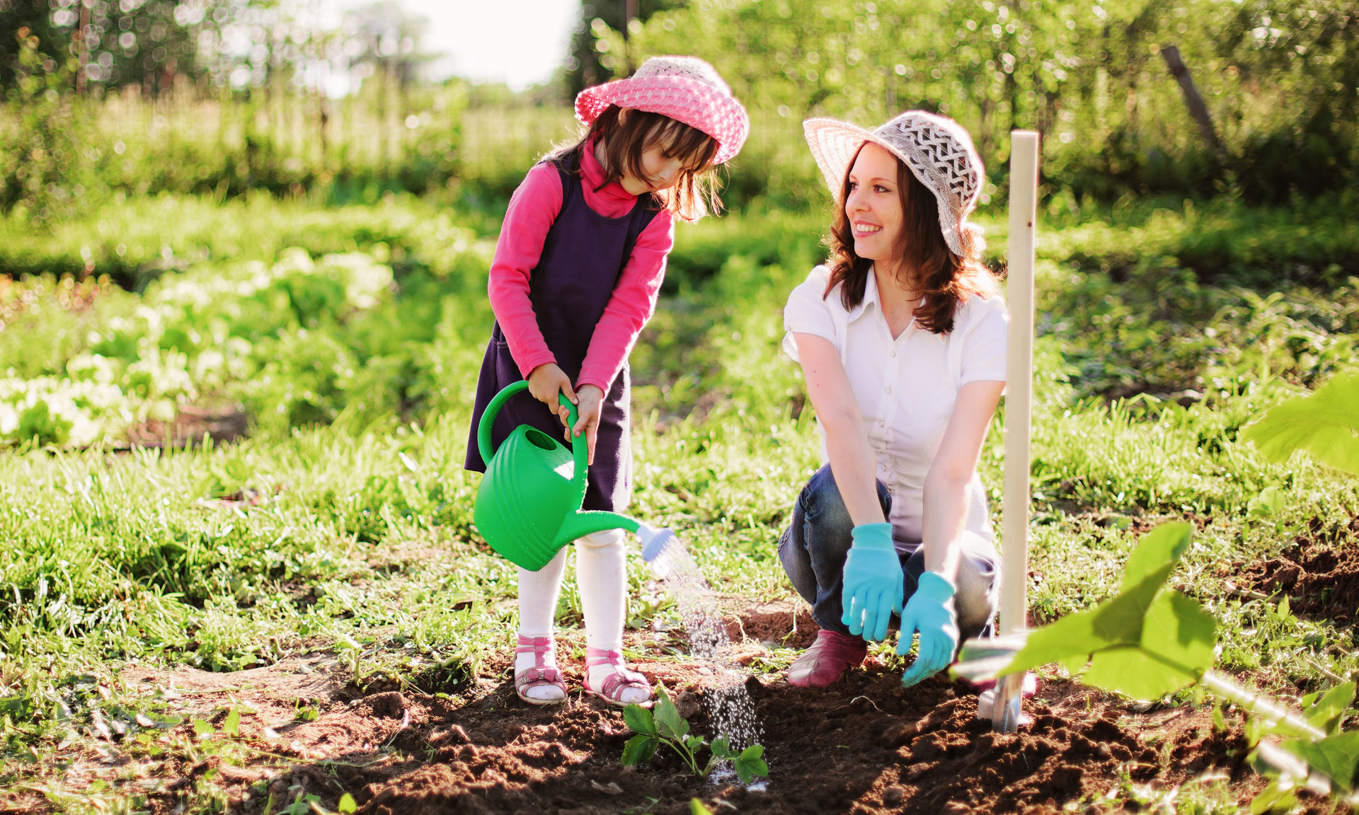 Plants in British Columbia and Where to Buy Planters: A Gardening Guide