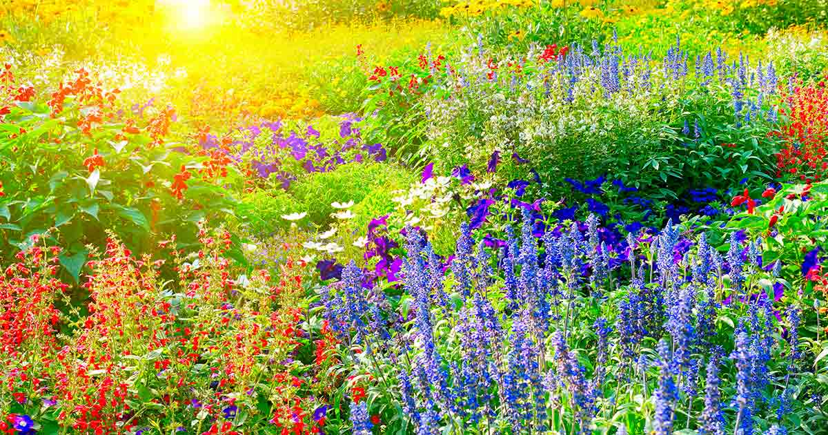 Garden Centre Vancouver and Nursery Maple Ridge: Your Ultimate Gardening Guide